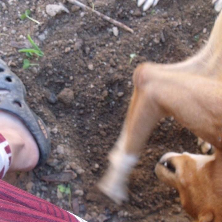 4e630bb5 b6dd 4644 ab19 eb89079bf180