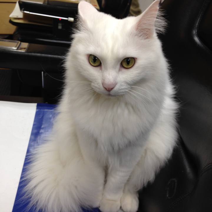 4e630d31 9ab2 4bf3 90c3 9a722e085b4b