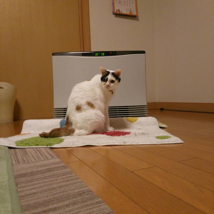 4e648094 830d 48e6 9c35 e881ac2b27de