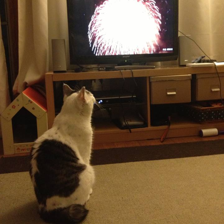 4e64a215 6944 4f3f b504 924804b36140