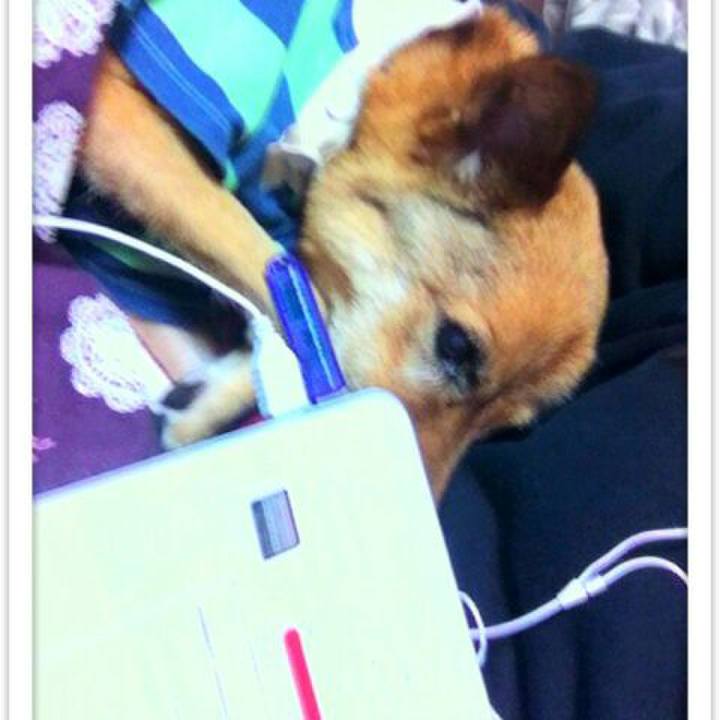 4e64c729 190d 4454 90e6 637f250c085d