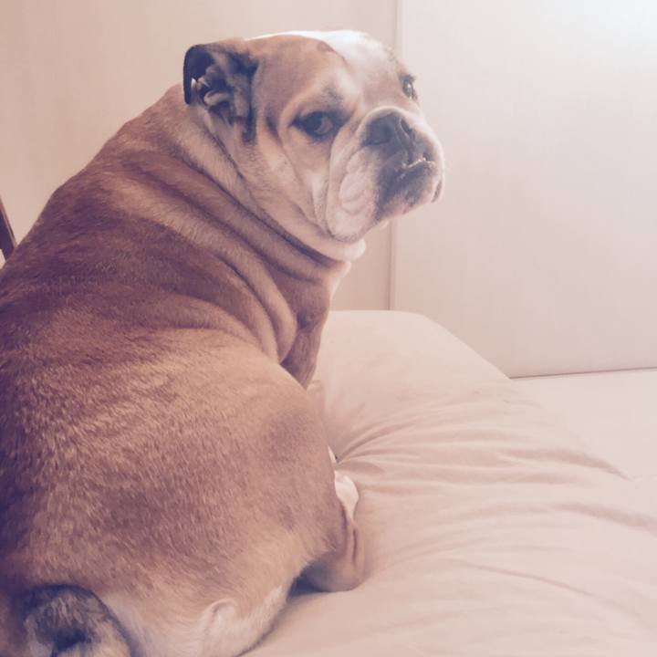 4e64ddf4 966f 4753 a035 a72d754d7b27