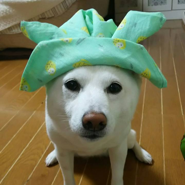 4e654794 7929 49df 9794 3fc8d6e77fb0