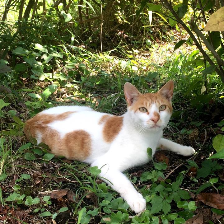 4e658875 bd4e 4a0c 9198 327dbd154de3