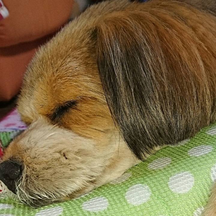 4e66210f 19a6 4692 a775 4b7d27723e0c