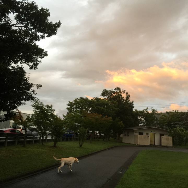 4e667d52 3359 4ea9 8d5d f20cf819cd2a