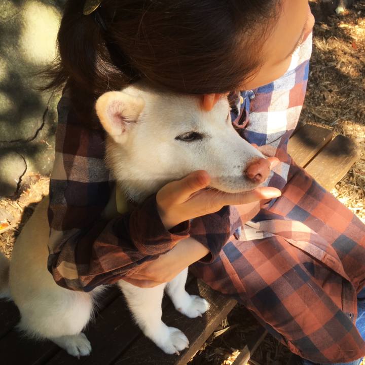 4e677b69 3d29 4de8 b647 2937aad39509