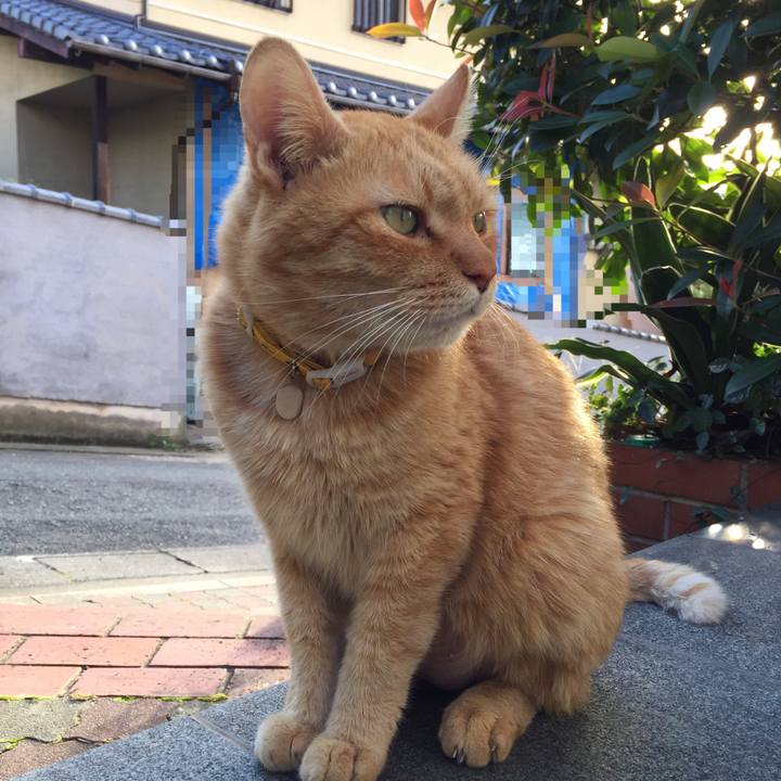 4e67d2e8 0f45 4661 a3ab 106bc2b429ab