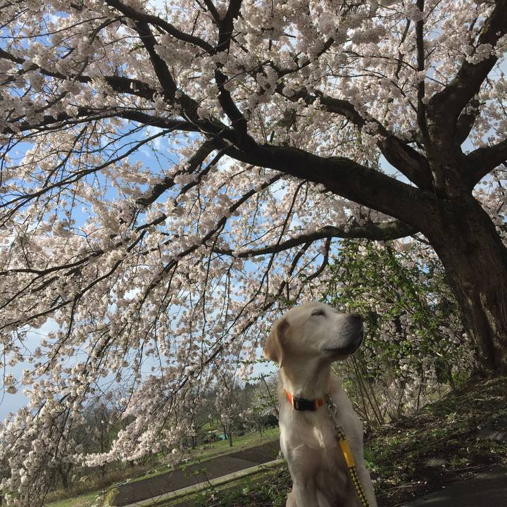 4e67e079 60c6 435d abb7 34a178d3f08d