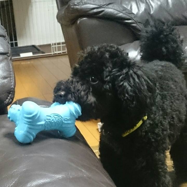 4e6809e2 f4ab 42fe 9fbd 5eeeec5c75e4