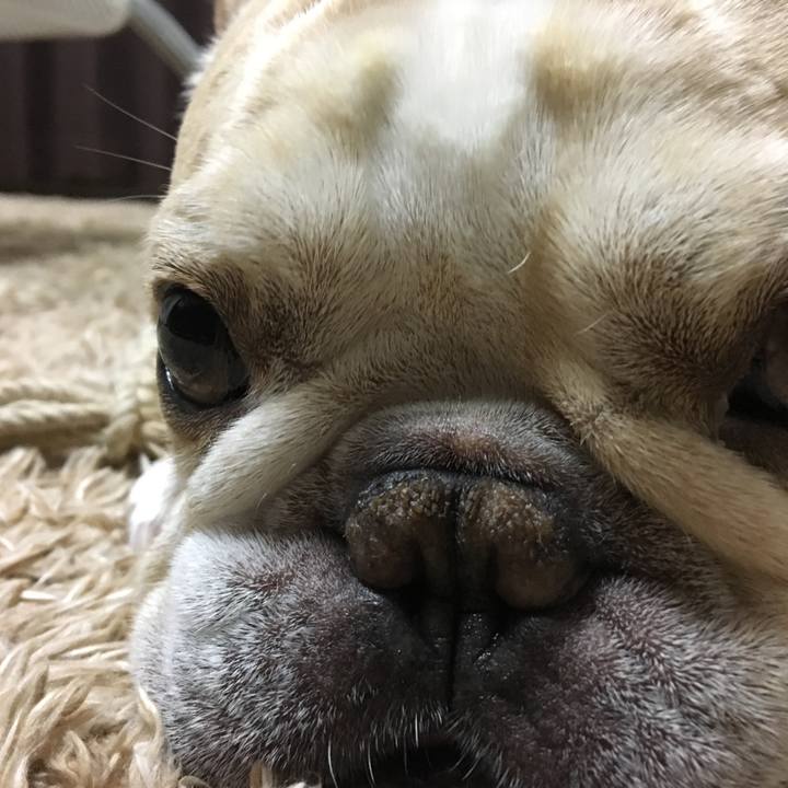 4e688c89 c7f7 4bed 9b9d 13181214cc27