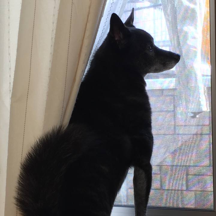 4e693110 618d 4d50 8154 2a8019ce80cd