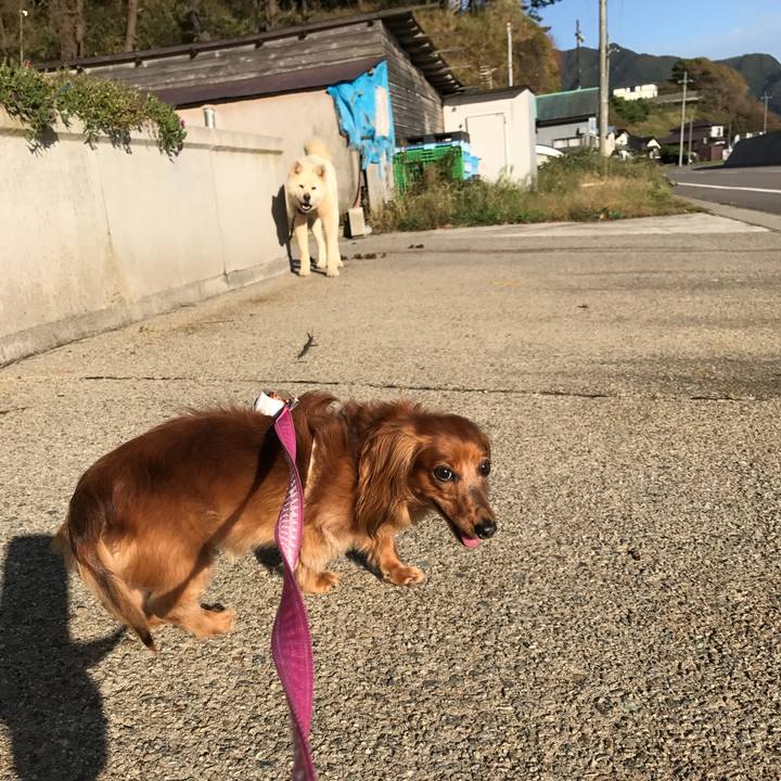 4e695347 ea70 4bd6 aca0 1ec1ba01488a