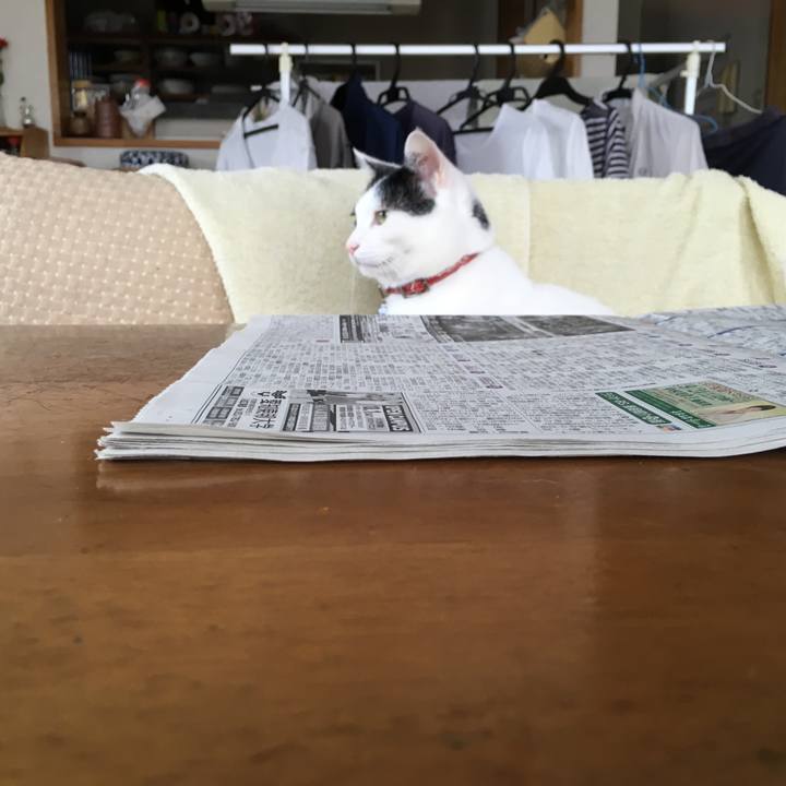 4e69da20 f945 4b0f a971 e098fe8eedcd