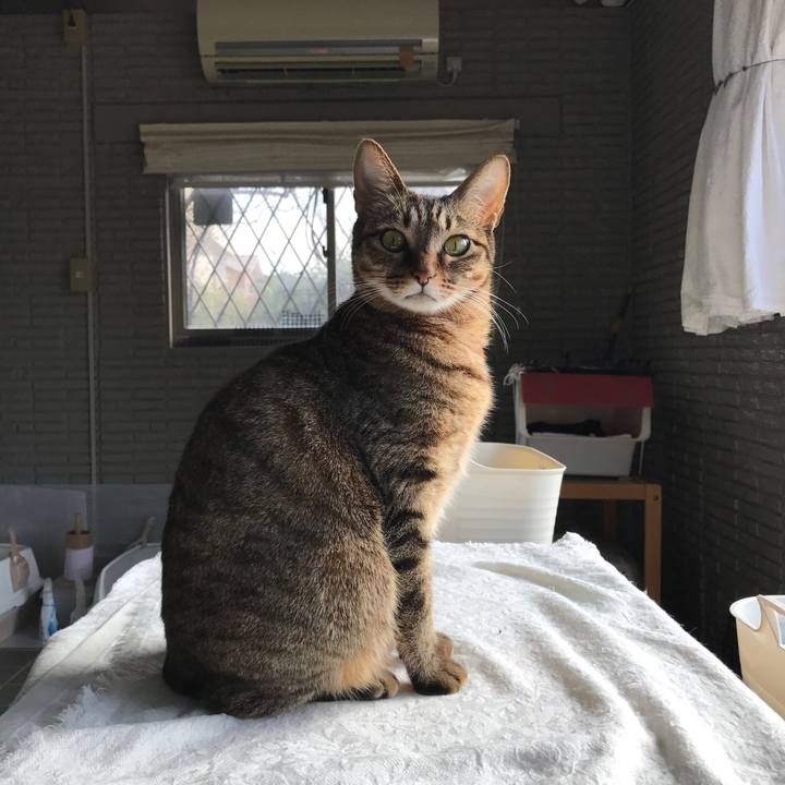 4e69e8e6 cfcd 4bff 9629 899f982e425c