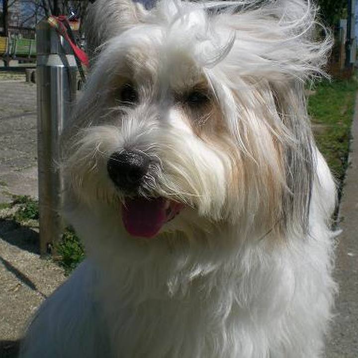 4e6b055d da34 45cc ada1 96bcfc3b23c2