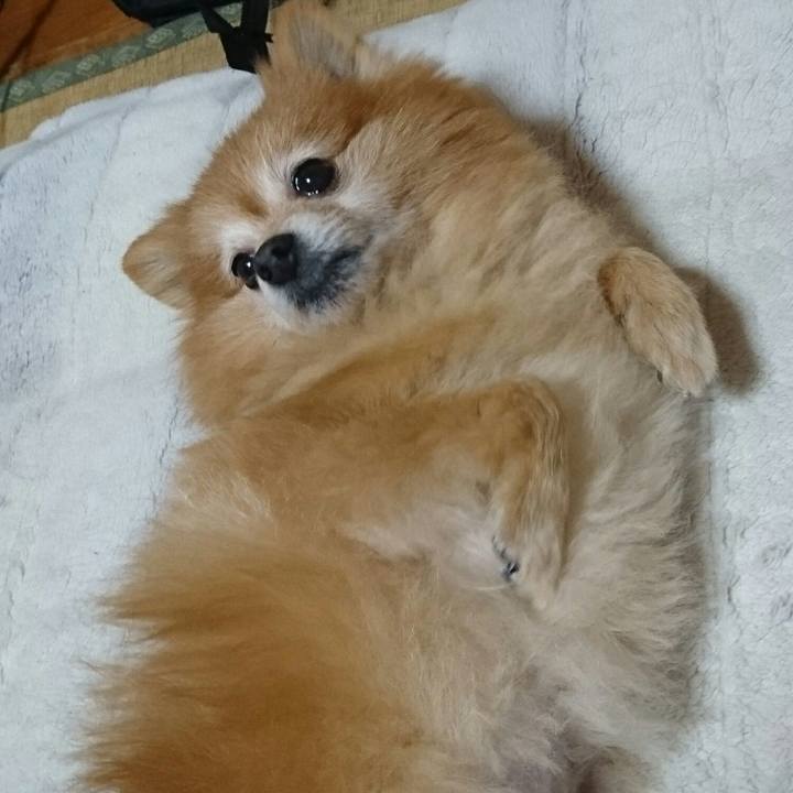 4e6b10ab b398 4b0e 87a5 98fee3b44349