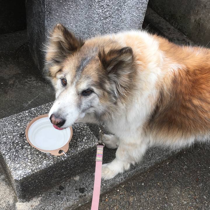 4e6b19c5 300d 4de4 8cf2 39f12a1e38ae