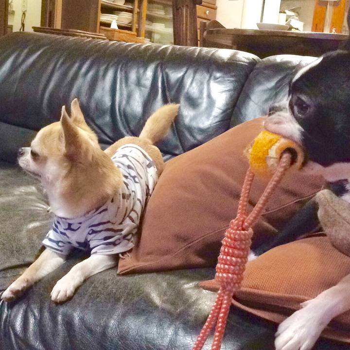 4e6b6747 7e10 4808 ae0c 424d0e00f282