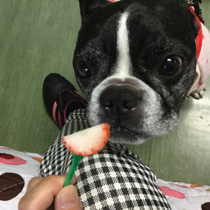 4e6bbfd5 1c03 4f3a 9df5 4358dcab06a4