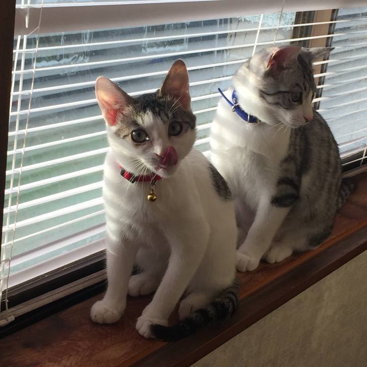 4e6bcce4 23fa 4adc bd9d 1561b9e20214