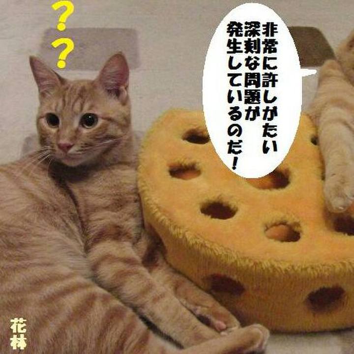 4e6c54c2 6191 472d 98b2 f4ae0580c25c