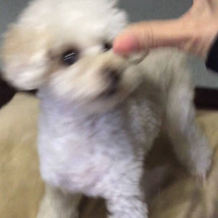 4e6c7b1c 42bb 477a 9937 88914d1a9543