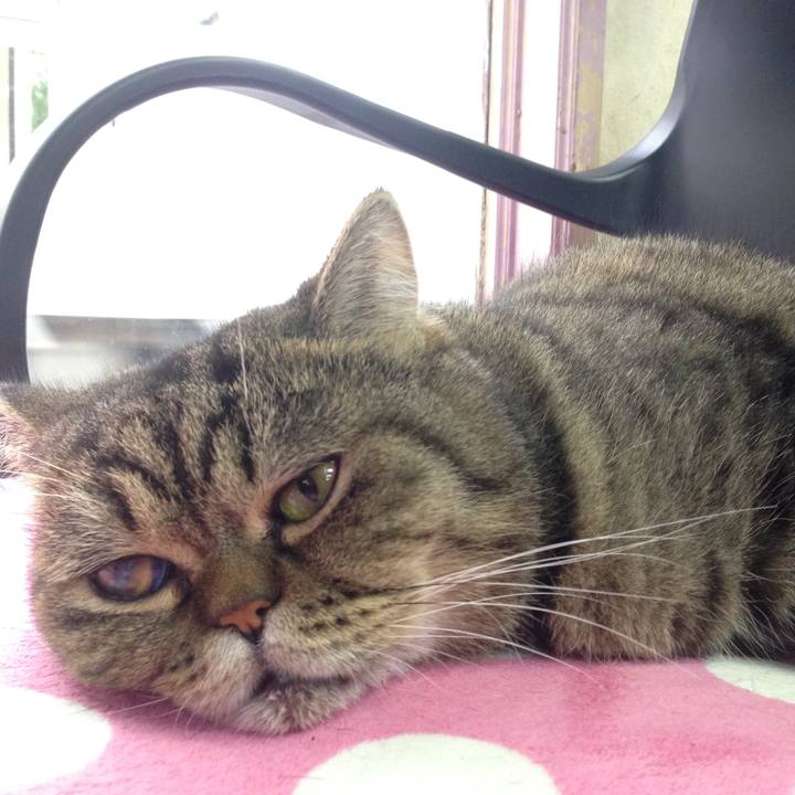 4e6c874e c4e0 4a55 9373 11edc0dfe0f6