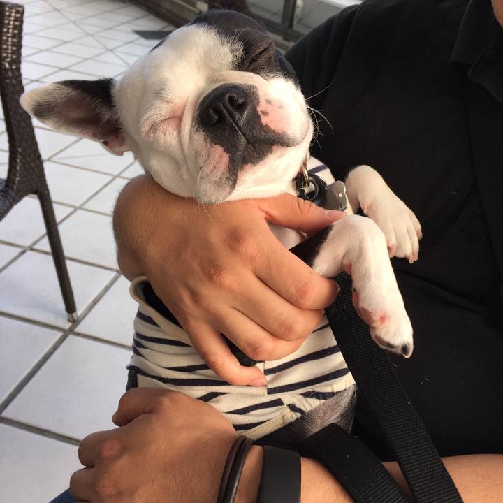 4e6cbbe7 5905 4f0b b3a5 405726017158