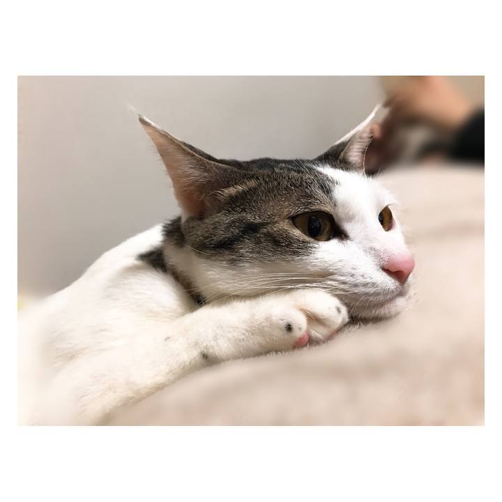 4e6cd53e d454 40d8 b2cd adb95f602283