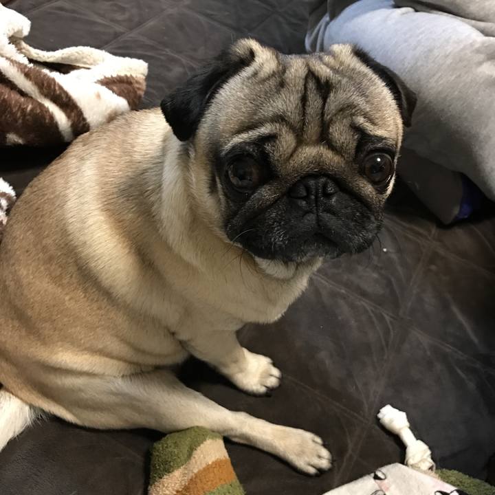 4e6d0fe3 a1e9 495d bd72 39761c7f170d