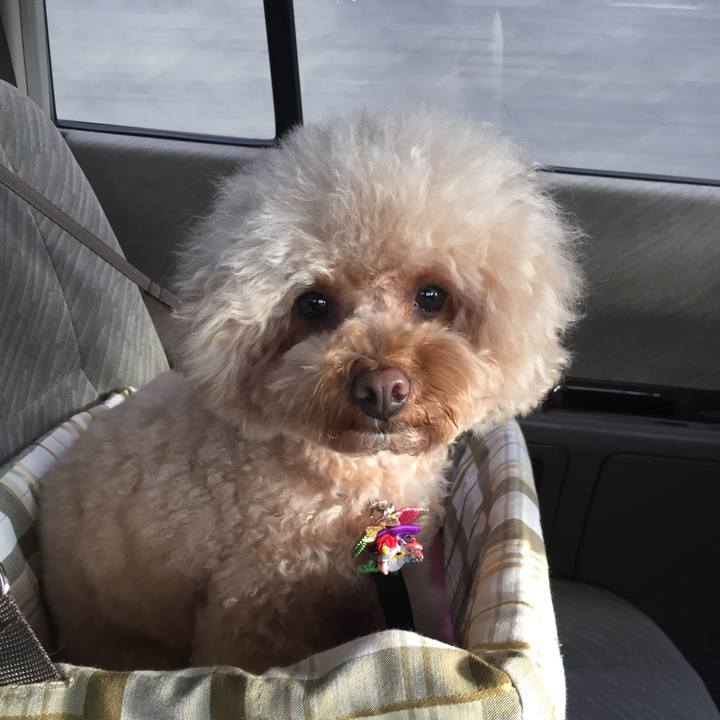 4e6d3757 6a02 40ac b1fc 820eb6f8e7ef