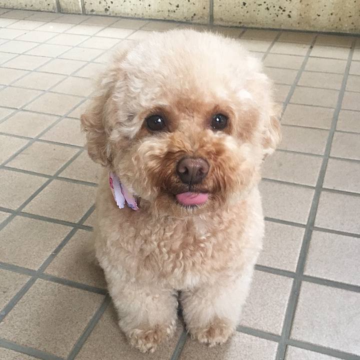 4e6d4170 ce40 477e b976 5392fe3355a2