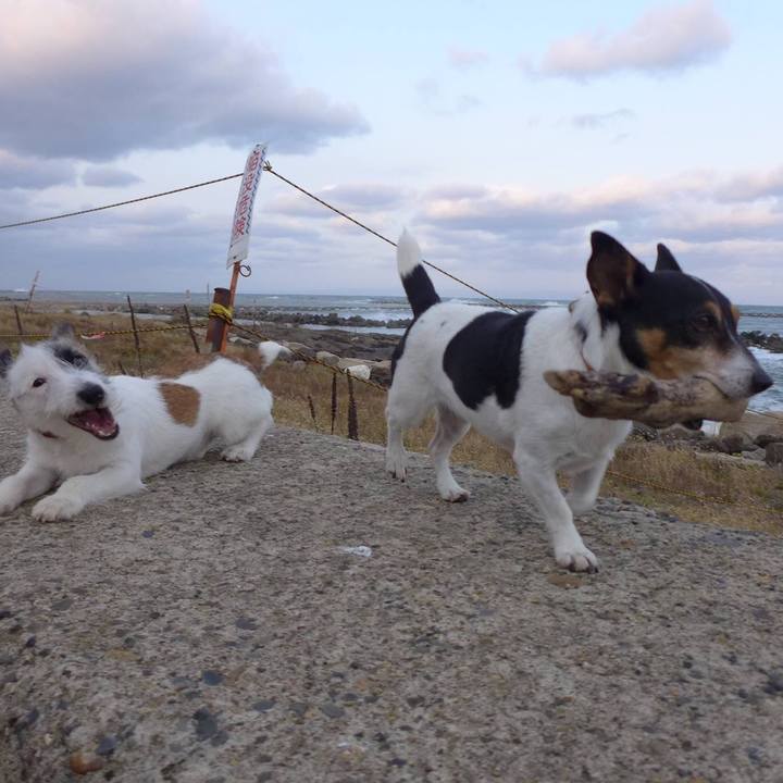 4e6db554 a3a4 4c61 855d 2ea9e0301a92