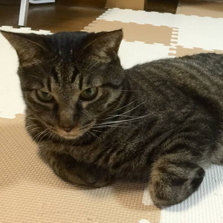 4e6df787 a003 4be7 b121 eade7ab8565e