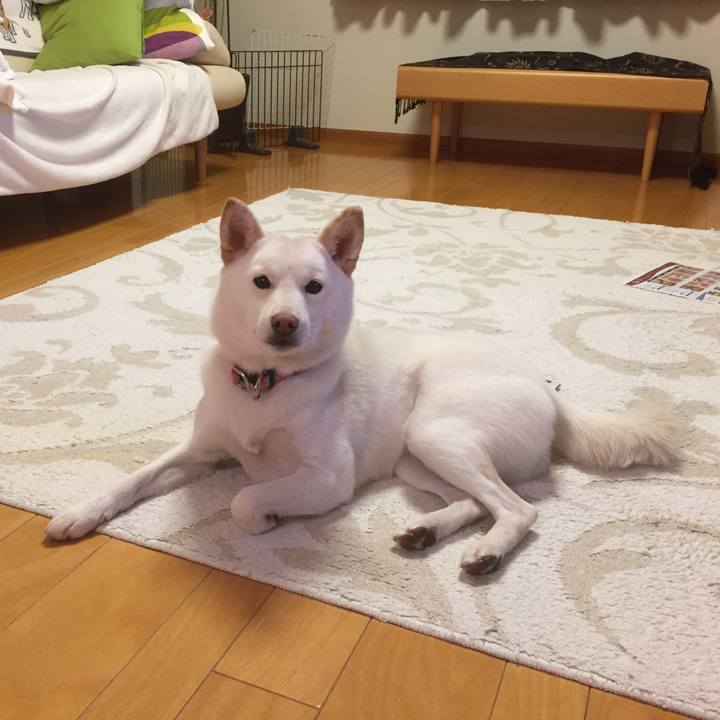 4e6ee7dd b81d 4c8f b3e9 99c83beaa2e3