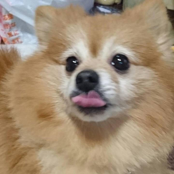 4e6f5948 3a90 4e4e aea4 ca3797bda296