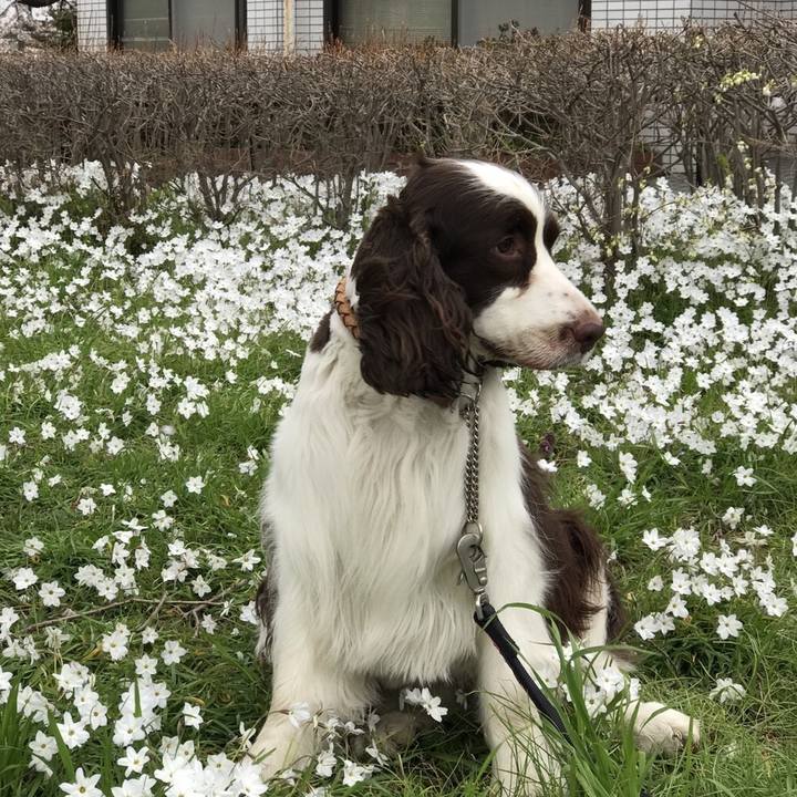 4e6f6233 85a8 415f 83ab 0ae4d99cb481