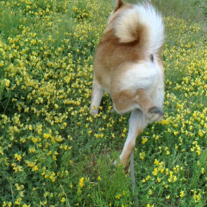 4e6fe702 a212 48b6 b0d4 1119bf8a457a