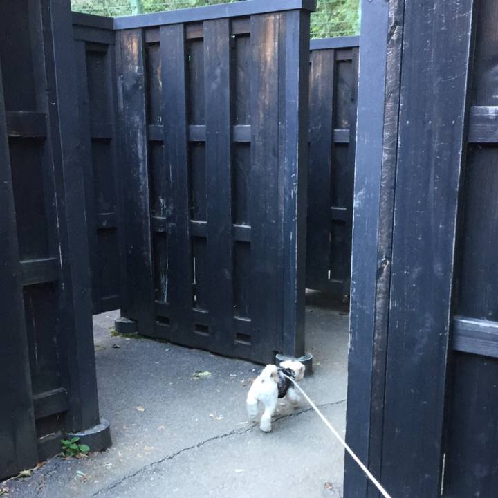 4e70221c e442 4f23 a0fd 5953fc29a5dd