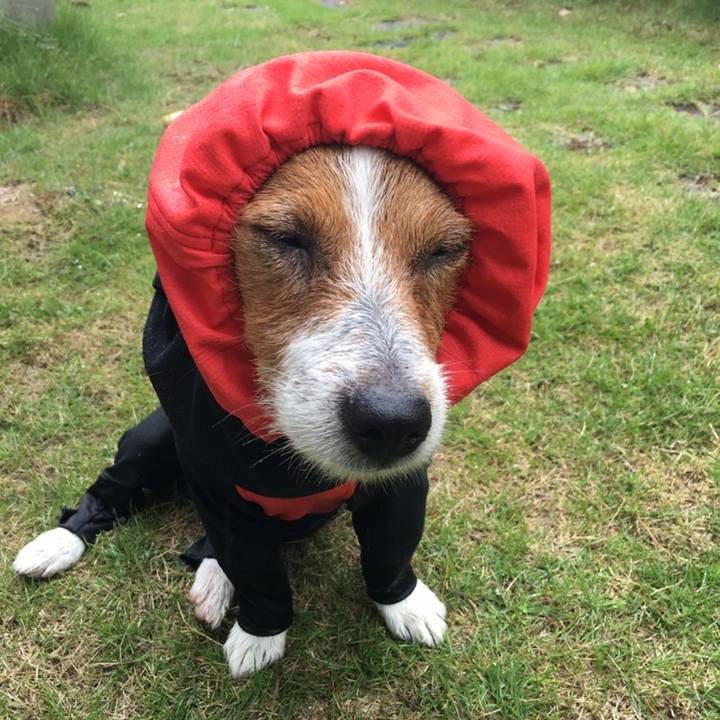 4e70e776 84e7 4b9e b2e9 cf6c1d7961d6