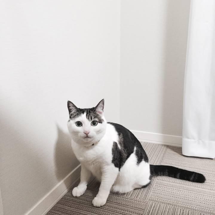 4e723708 2f0b 42f9 a0e9 9bc33362d10f