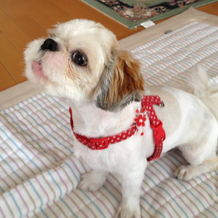 4e726933 75be 4a04 8bac 0880e4c406aa