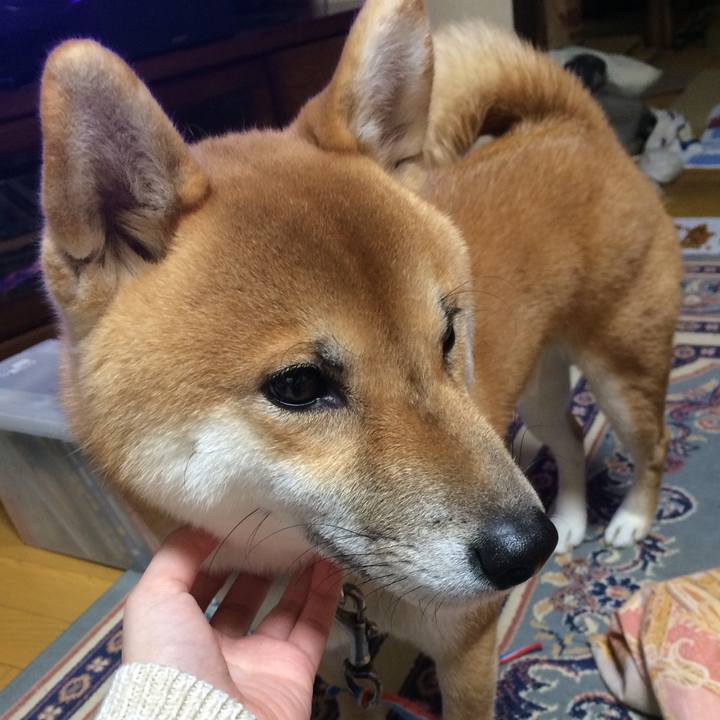 4e72a14e ff79 481b 814e 7052d3abd929