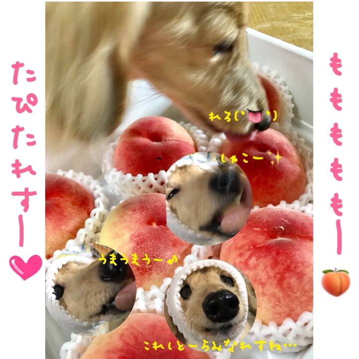 4e72f954 b93e 45e7 89f7 1069c86d7629