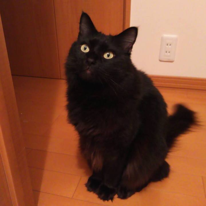 4e73441c 6198 4235 b948 cbc69a0da434