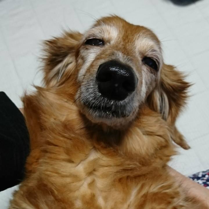 4e74234e 0197 4934 b305 81c83ba637ab