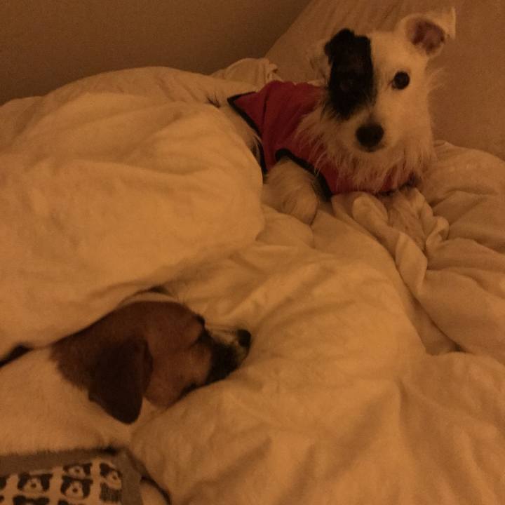 4e74752e 80cd 4a47 9957 2331f4f49949