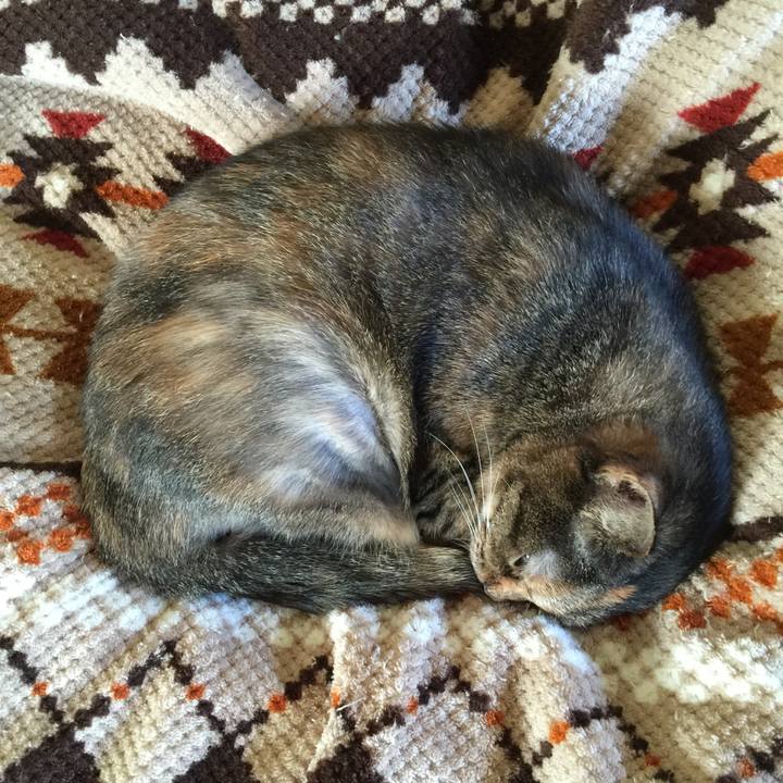 4e74daa2 55e2 4a7d b5f5 fd3226e096f1