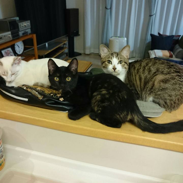 4e758ce9 2245 45bd 83ee 8bf4ad48668d